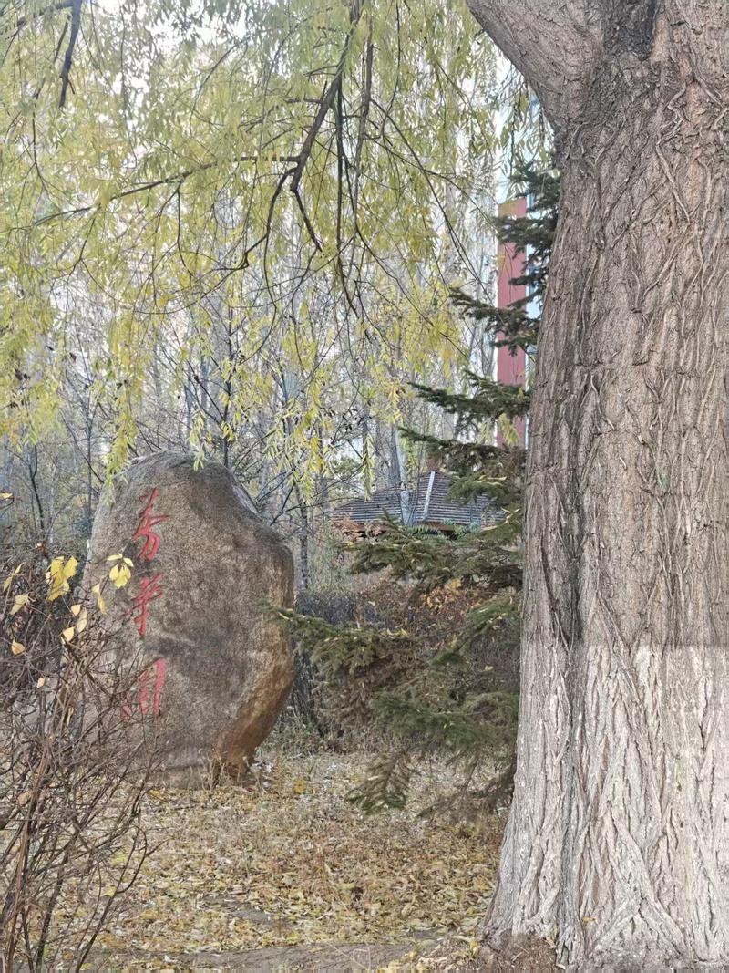 芳华园明德广场